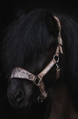 Top Reiter Klaki Halter set -Truffle Brown