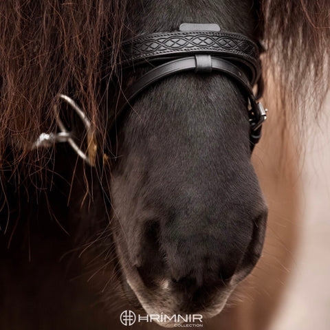 Flash noseband Heritage