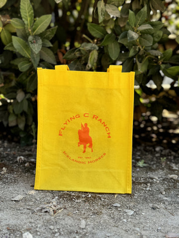 Small reusable bag