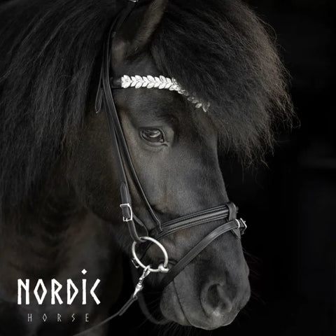 Bridle with White Leaves