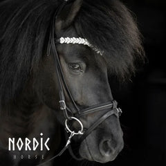 Bridle with White Leaves