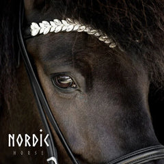 Bridle with White Leaves