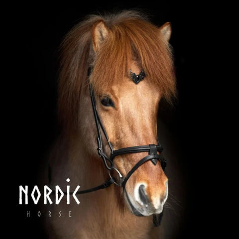 Bridle with Black Leaves