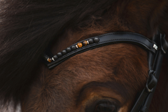 Top Reiter ORKA Bridle - Orange