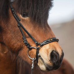 Top Reiter ORKA Bridle - Orange
