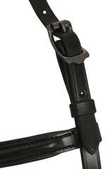 Headstall with a browband