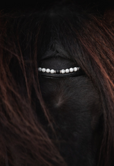 Top Reiter Orka Bridle - White