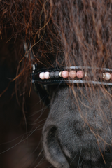 Top Reiter Orka Bridle - Pink