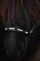 Top Reiter Orka Bridle - White