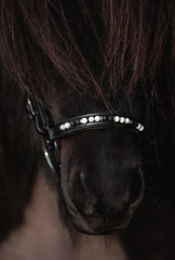 Top Reiter Orka Bridle - White