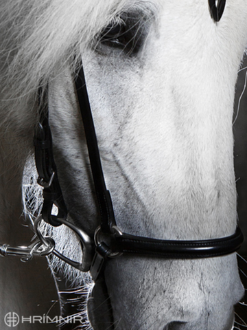 Hrimnir Dropped Noseband