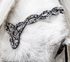 Hrimnir Headstall Fire and Ice