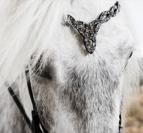 Hrimnir Headstall Fire and Ice